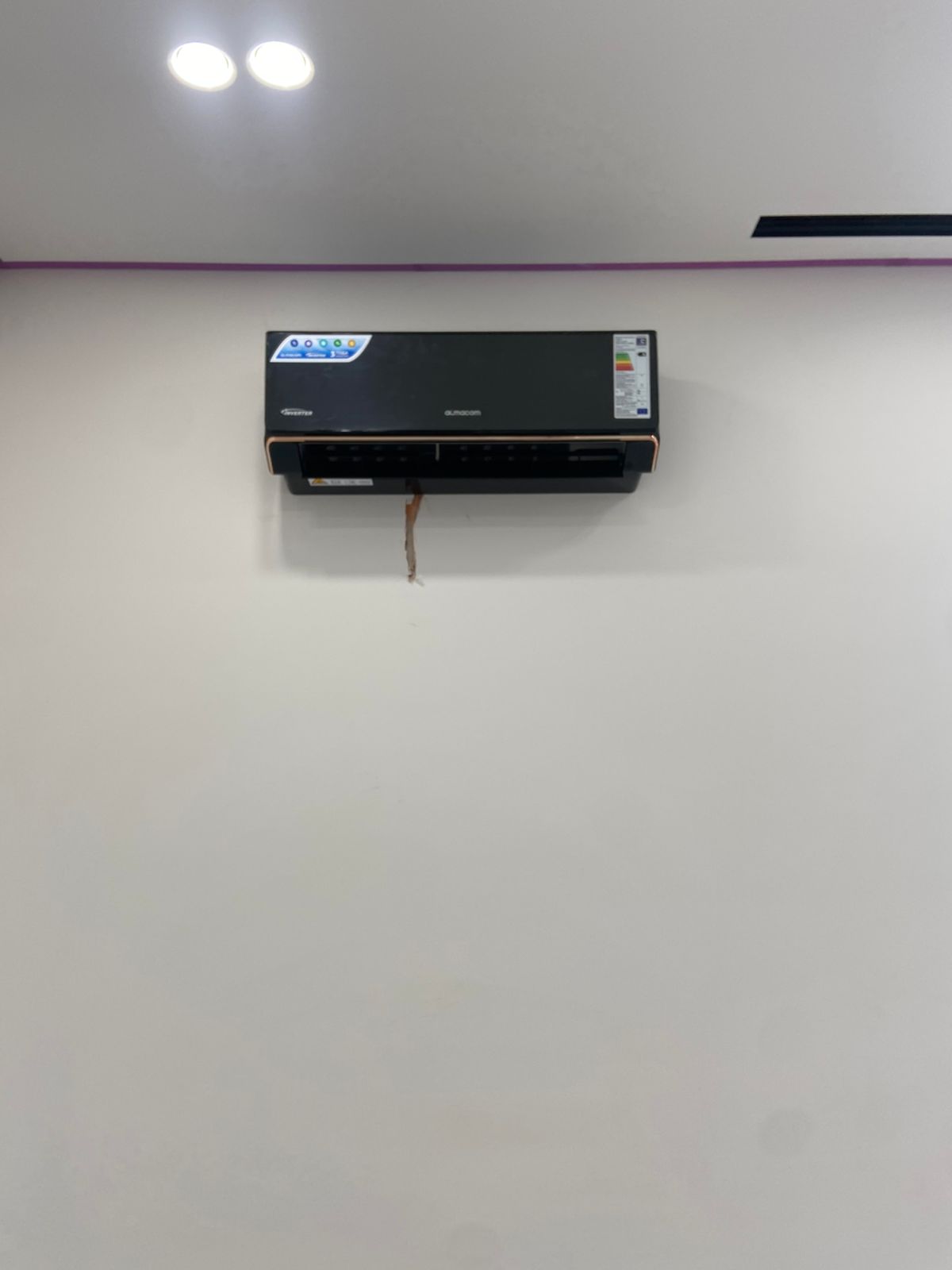 WhatsApp Image 2026-01-22 at 17.04.45